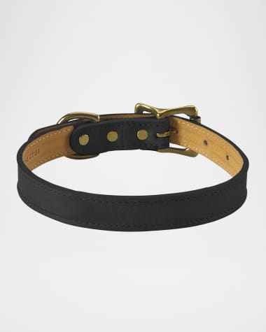 Graphic Image Personalized Small Dog Collar