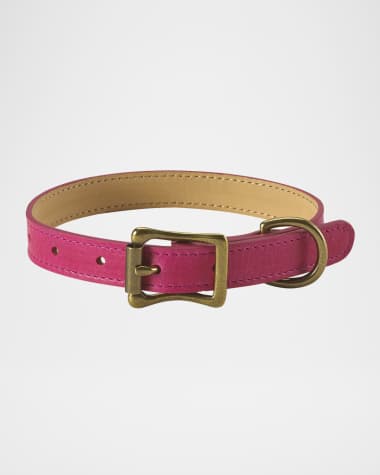Graphic Image Personalized Small Dog Collar