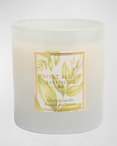 Hampton Sun 7.5 oz. Privet Bloom Scented Candle