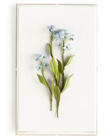 Tommy Mitchell Original Painted Forget-Me-Not Study