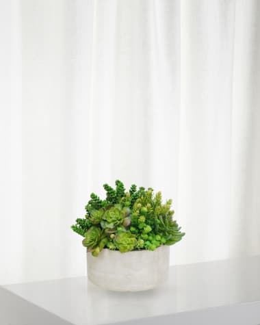 Winward Home Succulent in Garden Planter