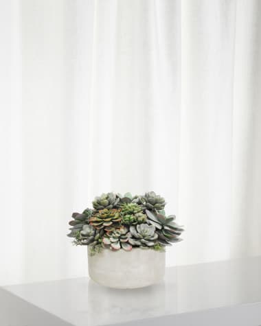 Winward Home Mix Succulent in Garden Planter