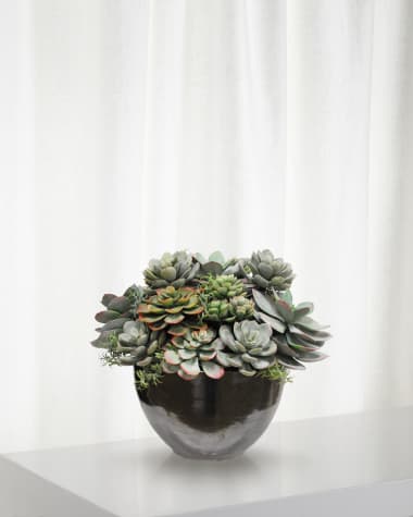 Winward Home Mix Succulent in Ceramic Bowl