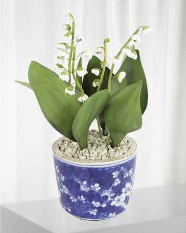 Tommy Mitchell Lily of the Valley May Birth Flower in Ceramic Pot