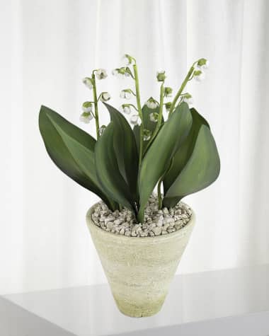 Tommy Mitchell Lily of the Valley May Birth Flower in White Terracotta Pot