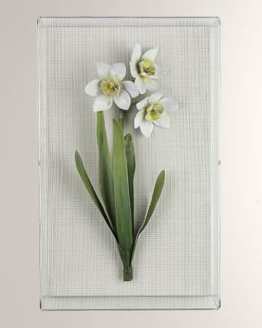 Tommy Mitchell Narcissus December Birth Flower Wall Art