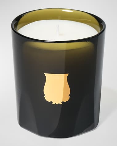 Trudon Gabriel Petit Candle, Gourmand Chimney Fire