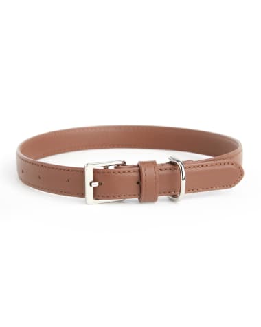 ROYCE New York Personalized Leather Medium Dog Collar