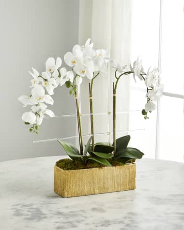 John-Richard Collection Golden Drip Orchids Arrangement