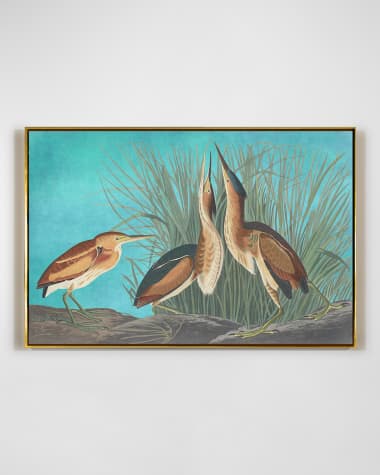 RFA Fine Art "Least Bittern" Wall Art