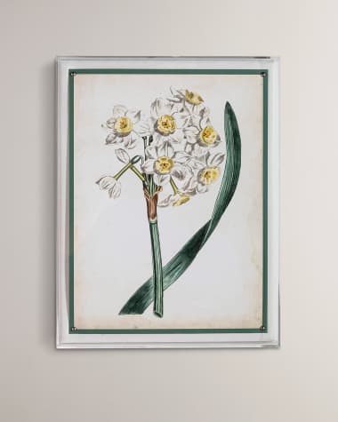 Port 68 "Narcissus IV" Giclee Print