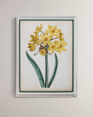 Port 68 "Narcissus II" Giclee Print