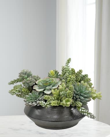 Winward Home Succulents in Planter