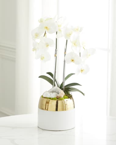 T&C Floral Company Double Orchid Faux Floral in Gold-Rimmed Ceramic Container - 22"