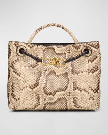 Bottega Veneta Small Andiamo Python Tote Bag