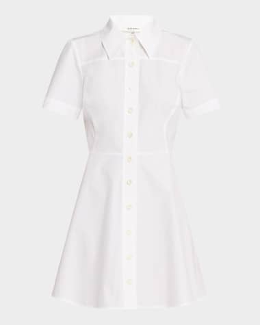 FRAME The Flare Mini Dress