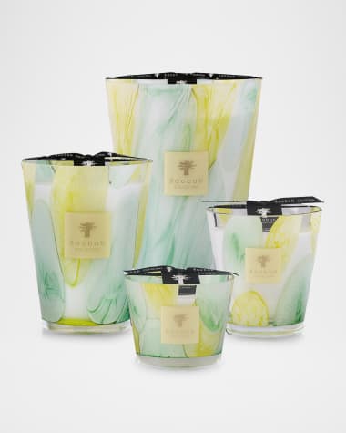 Baobab Collection