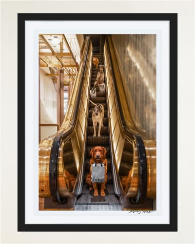 Gray Malin "Escalator Ride, Neiman Marcus, Downtown Dallas" Framed Fine Art Photography Print