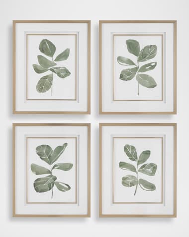 The Uttermost Co "Fiddle Head Leaf" Framed Botanical Prints by Haley Knighten, Set of 4