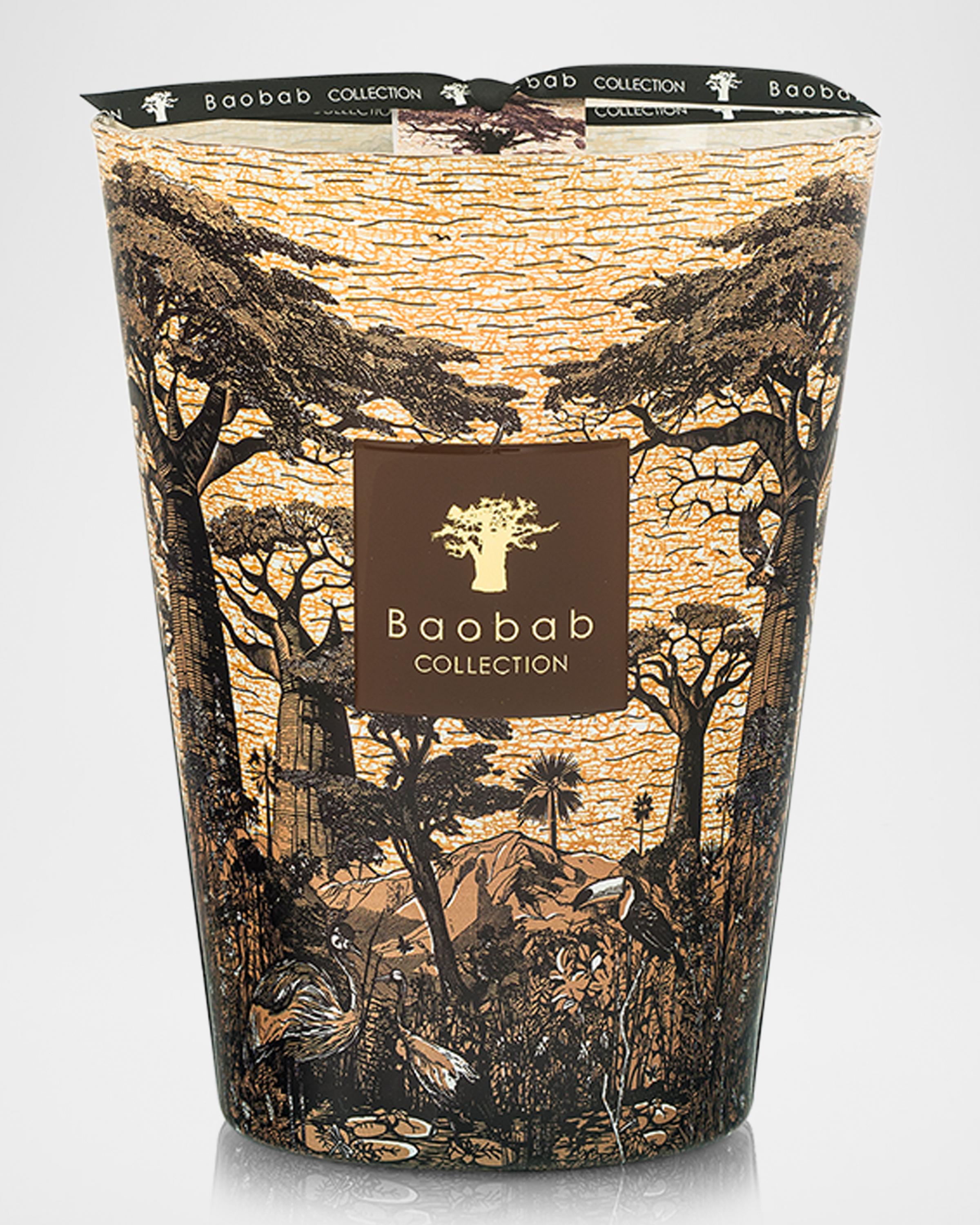 Baobab Collection Sacred Trees Mankono 5-Wick Max 24 Candle, 5.2 
