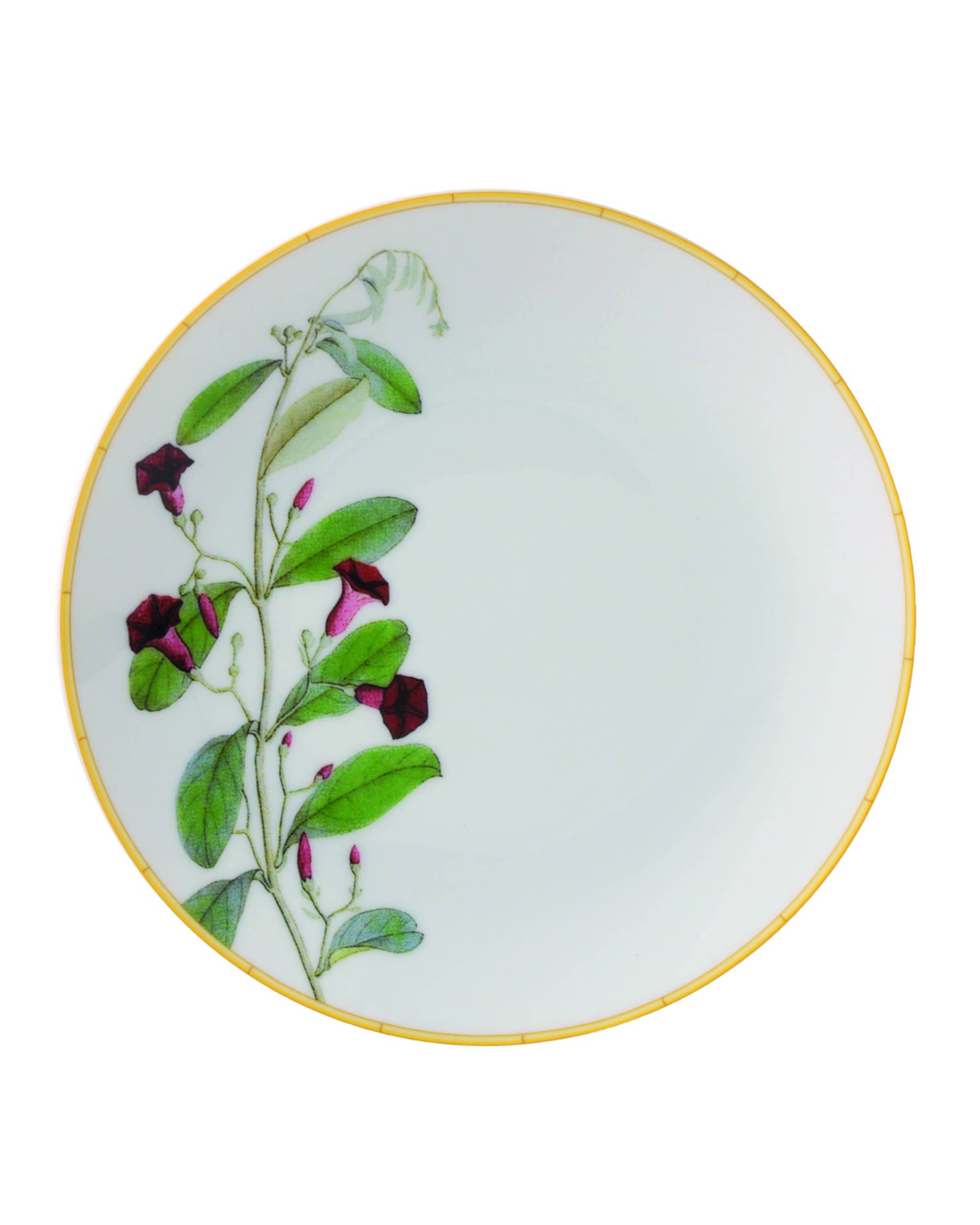 Bernardaud Jardin Indien Bread & Butter Plate
