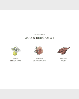 Oud and Bergamot Cologne Intense