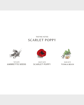 Scarlet Poppy Cologne Intense