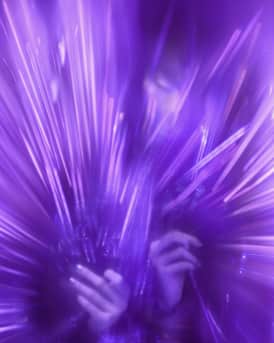 Queen of Silk Eau de Parfum