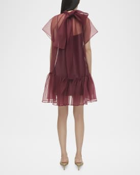 Beaux Sheer Tiered Mini Dress