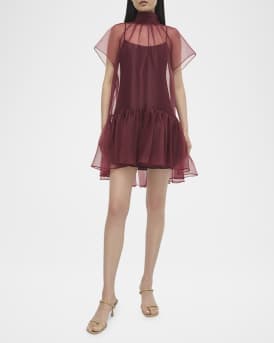 Beaux Sheer Tiered Mini Dress