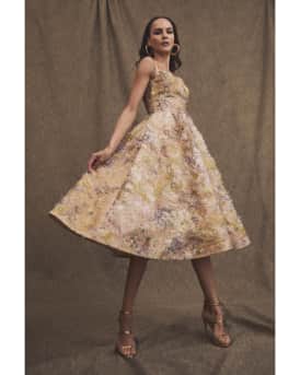 Stephanie Embroidered Applique Midi Dress