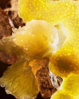 x Refik Anadol Limited Edition Le Gemme Tygar Eau de Parfum, 4.2 oz.