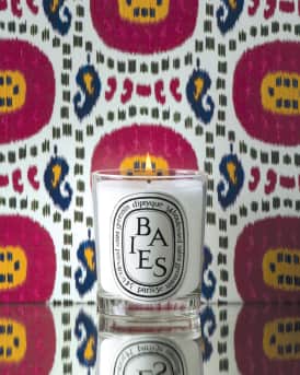 Baies (Berries) Scented Candle, 6.5 oz.