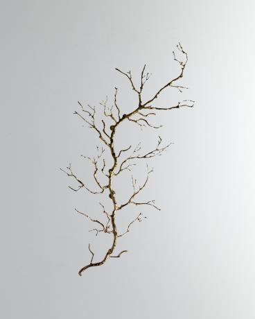 Twig Wall Art Collection | Neiman Marcus