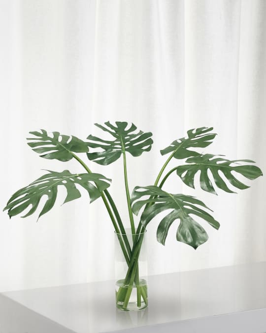 Monstera in Cylinder Vase