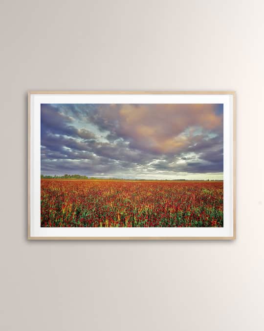 "Crimson Clover" Digital Art Print by PhotoDF