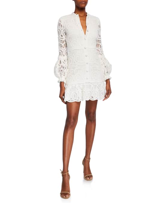 Alexis liliyan shop lace mini dress