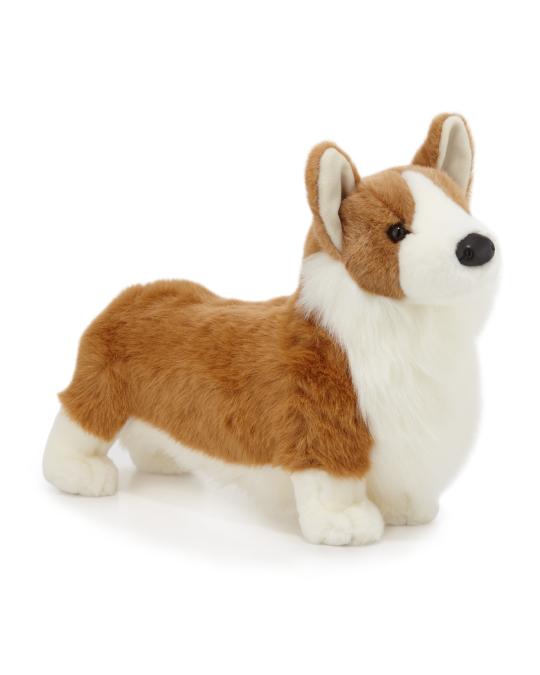 Sorridere Sveglio Del Cane Della Razza Del Pembroke Del Corgi Di Welch
