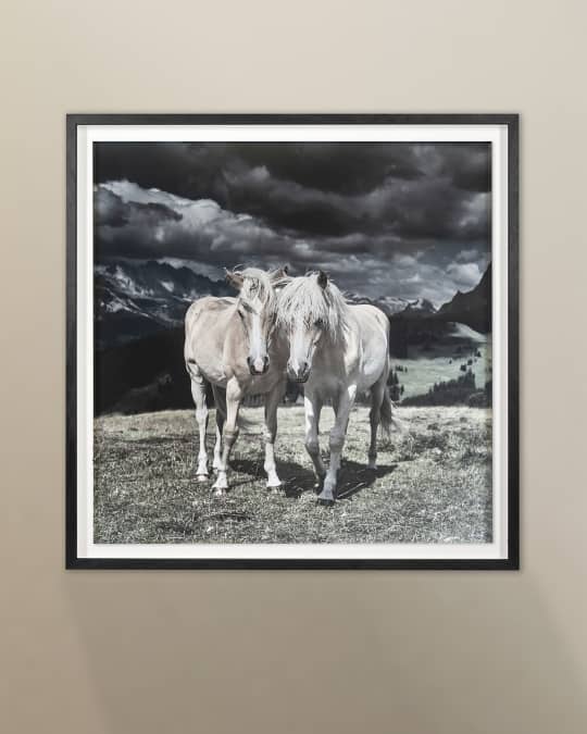 "Horses in Europe" Archival Digital Print by Chris Dunker