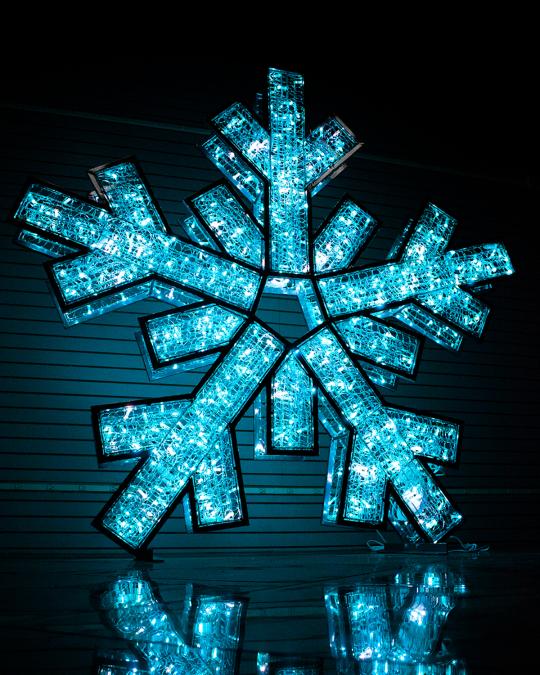 Barcana Double-Sided Snowflake with Silver Frame | Neiman Marcus