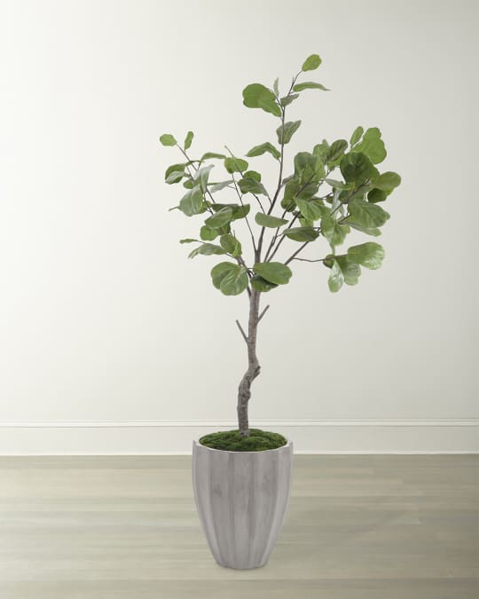 Coastal Fog Faux Fig Tree