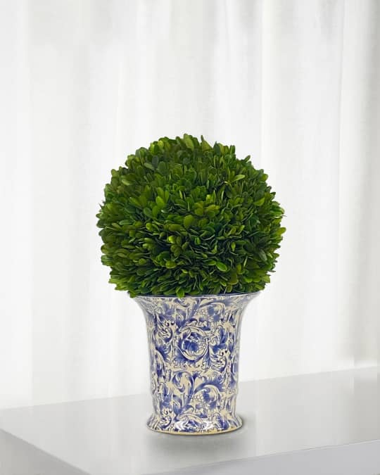Preserved Boxwood Ball in Porcelain Vase - 14"