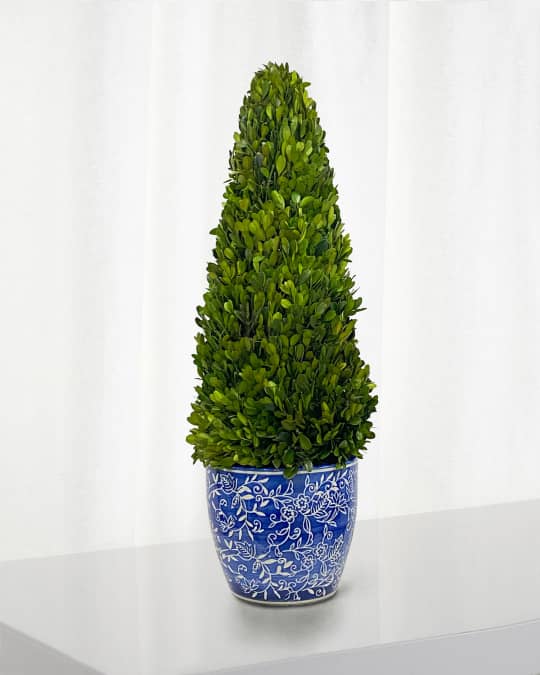 Preserved Boxwood Cone Topiary In Porcelain Lotus Pot - 28"