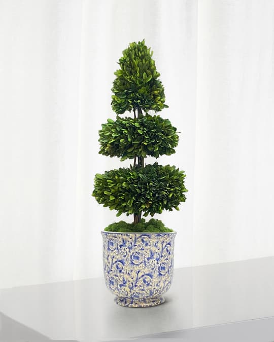 Rodeo Boxwood Topiary