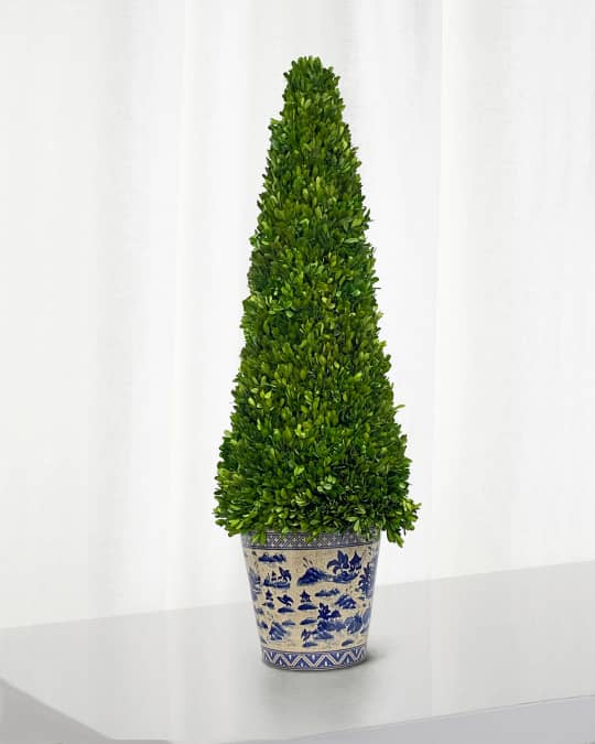 Boxwood Tall Topiary 