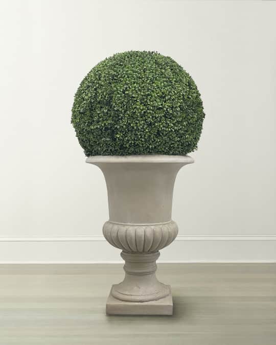 Boxwood Ball in Urn