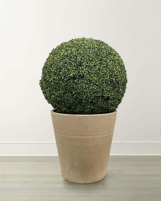 Boxwood Ball in Planter