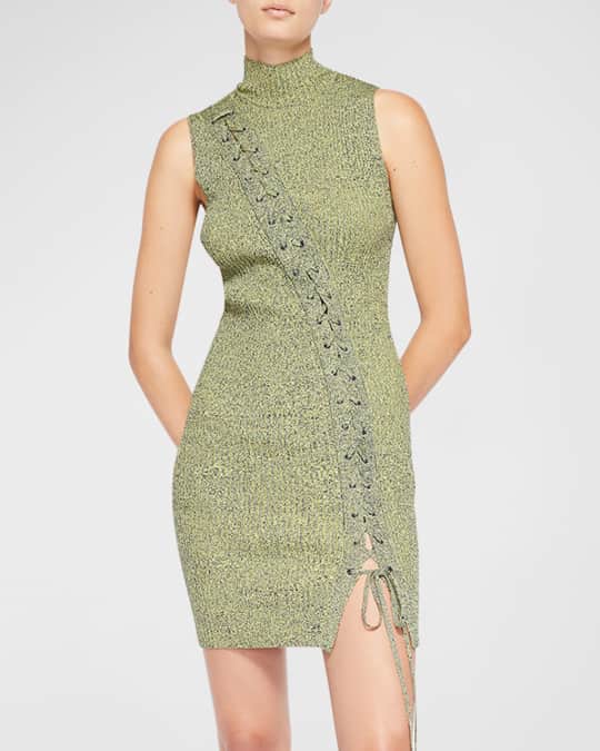 knee length dresses for ladies Tilly Turtleneck Sleeveless Sweater Mini Dress
