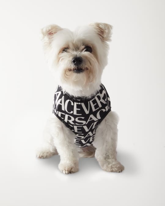 Versace Home Collection All Over Logo Dog T Shirt Neiman Marcus