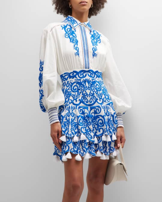 Loryn Embroidered Long Sleeve Tiered Mini Dress